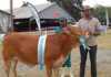 Doctor wins livestock championship