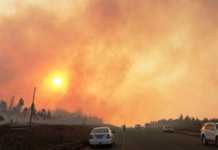 Farmers’ unions welcome efforts to prevent runaway fires along N3