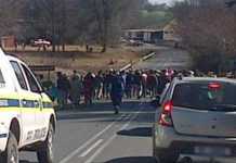 Violent protest action disrupts KZN Midlands farming