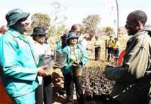 National Arbour week launch