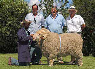 Ram sells for R200 000