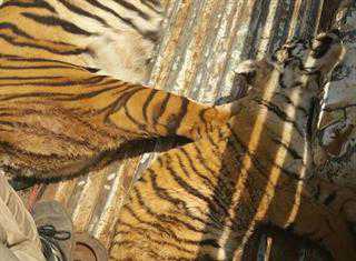 Rise in wildlife poisoning incidents in Limpopo