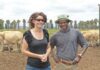 Farmers can learn a lot from our neighbours