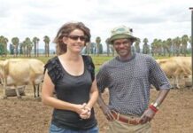 Farmers can learn a lot from our neighbours