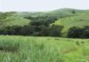 South African Sugar Association on scientific proof