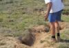 A realistic look at the jackal problem in SA