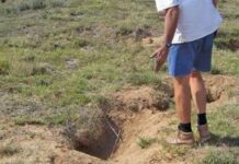 A realistic look at the jackal problem in SA