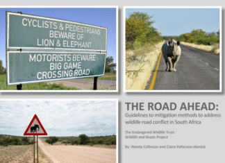 Guidelines to reduce wildlife mortalities on roads