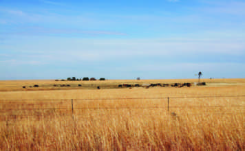 Why research is key to building trust