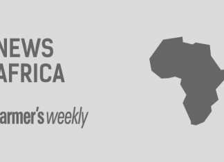 news-africa