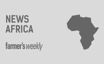 news-africa