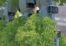 vertical farms