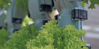 vertical farms
