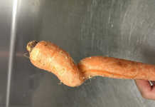 Is ‘ugly produce’ a new trend?