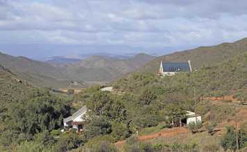 ‘I-want-to-be-the-SA-ambassador-of-black-farming’-–-Buyambo-Mantashe