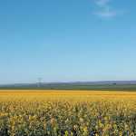 farm land