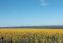 So ARC has a vision for 2050? How about one for next year? farm land