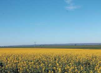 So ARC has a vision for 2050? How about one for next year? farm land