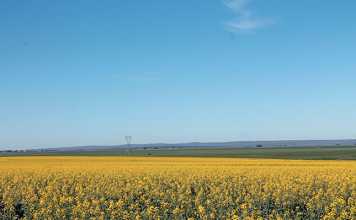 So ARC has a vision for 2050? How about one for next year? farm land