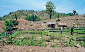 community-fish-farm