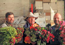 engelke-blomme-flower production business