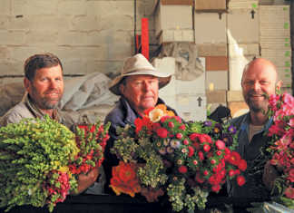 engelke-blomme-flower production business