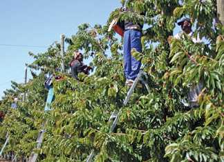 National minimum wage increase to be determined