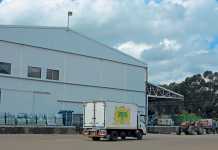 from-bankruptcy-to-national-success-the-story-of-a-local-dairy