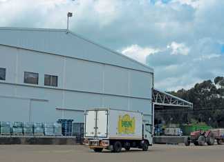 from-bankruptcy-to-national-success-the-story-of-a-local-dairy