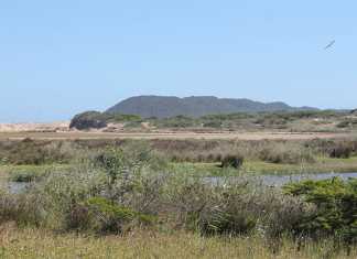 ismangaliso-wetland-park