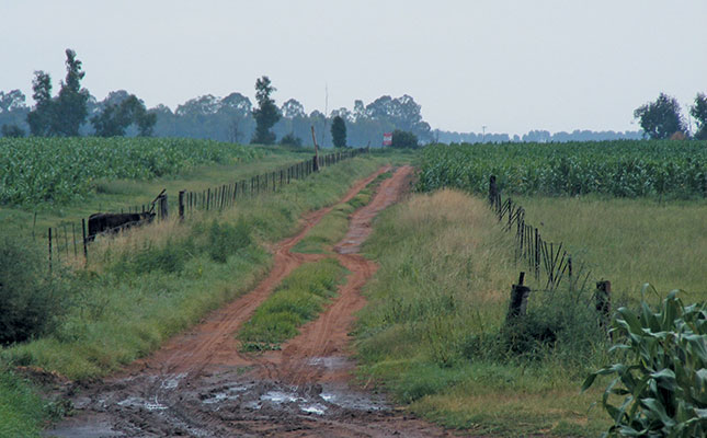 Promising rainfall prospects for 2016/2017 summer season Promising rainfall prospects for 2016/2017 summer season