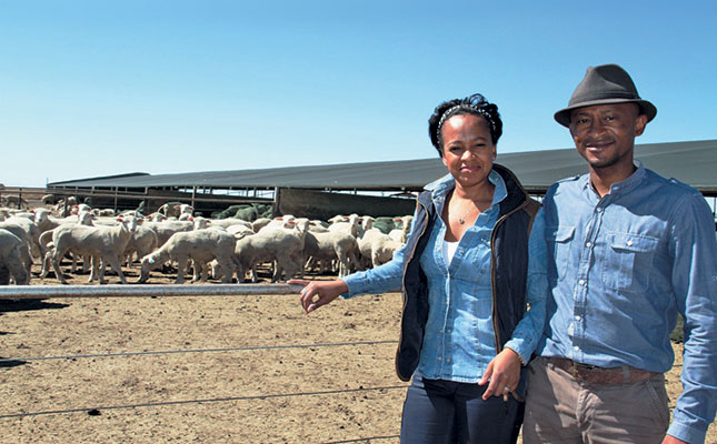How a business investment became a farming passion How a business investment became a farming passion