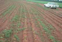 Dealing with kweek dealing-with-kweek