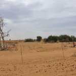 drought-conditions
