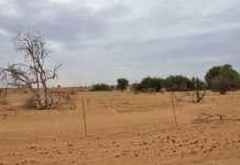 Cautious optimism despite drought, political uncertainty drought-conditions