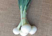 Marketing options for small-scale onion growers green-onions