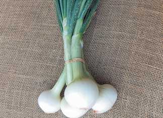 green-onions