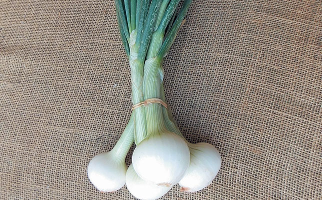 Marketing options for small-scale onion growers Marketing options for small-scale onion growers