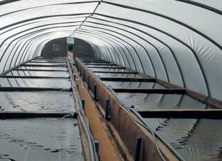 greenhouse-tunnels-aquaculture