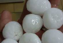 Rain and hail causes damage to crops in the Free State hail-stones-in-the-free-state