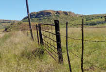 Money wasted on implementation agents in the Free State