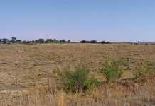 Optimistic agricultural outlook for 2017 optimistic-agricultural-outlook