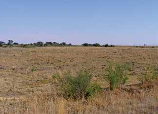 optimistic-agricultural-outlook