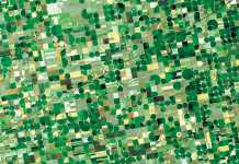 Understanding crop rotation