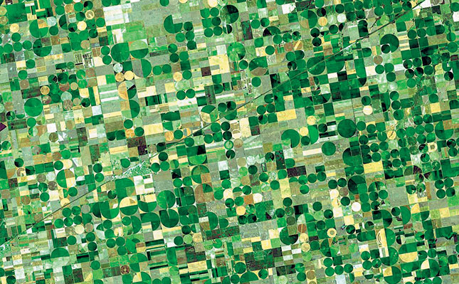 Understanding crop rotation Understanding crop rotation