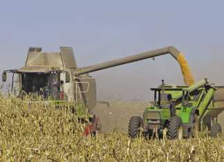 fuel and diesel price decrease