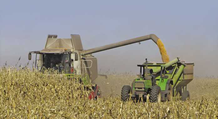 fuel and diesel price decrease