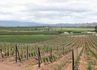 Robertson Winery reaches wage settlement with workers