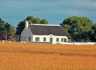 Dyer Island Conservation Trust