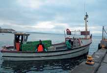 imbaza-mussels-1